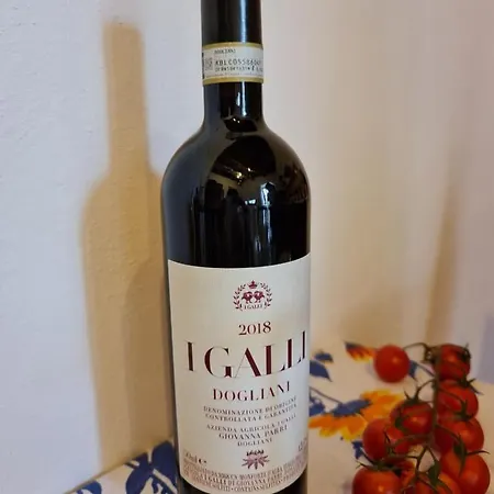 Agriturismo I Galli دولياني