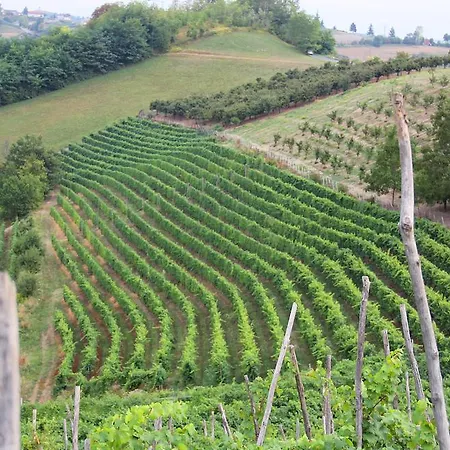 Agriturismo I Galli *